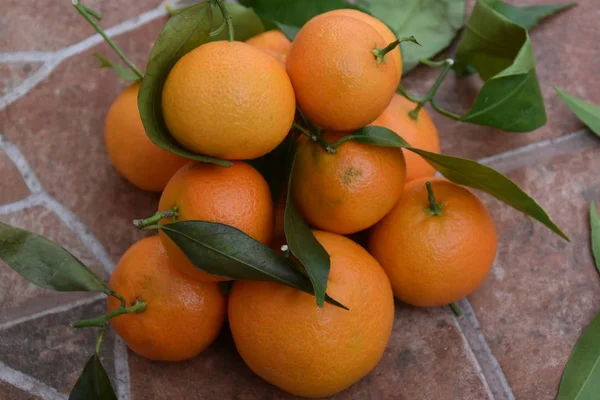 Mandarinen Orangen Früchte Und Orange — Stockfoto