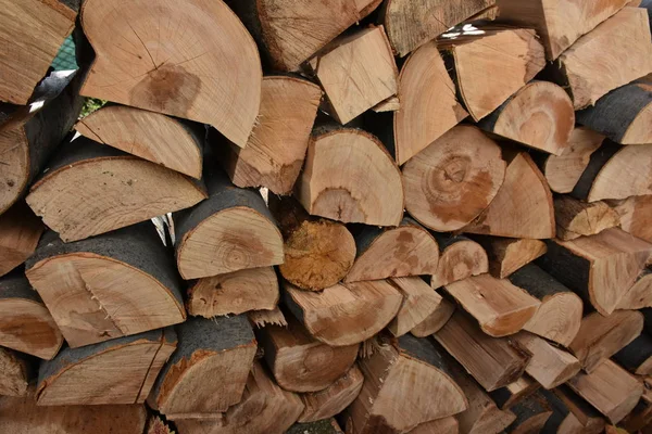 Holzstämme Machen Dicht — Stockfoto