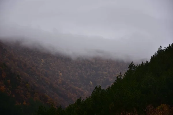 とても美しい風景山と霧 — ストック写真