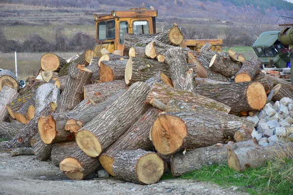 Holzscheite Und Brennholz — Stockfoto