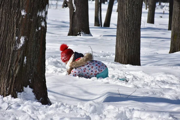 Spelende Kinderen Sneeuw — Stockfoto