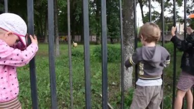 Little kids climbing on fence in beautiful park