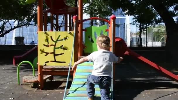 Handsome Little Boy Having Fun Playground — 비디오