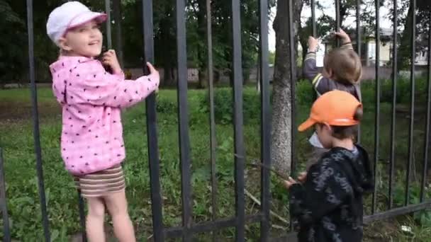 Little Kids Climbing Fence Beautiful Park — Wideo stockowe