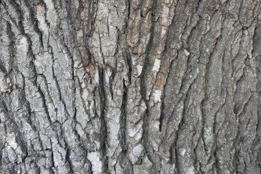  taş zemin ve çimento ve doku ve tuğla