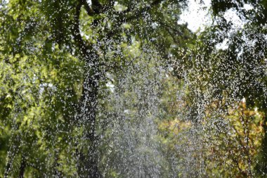 Fountain su damlaları 