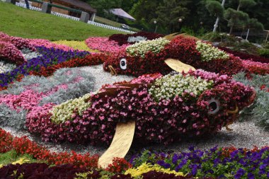 Çiçeklerin ve manzaranın güzel kompozisyonu