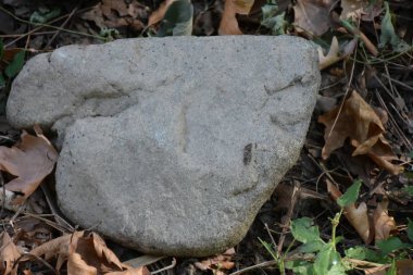 Çimlerin üzerinde büyük bir taş