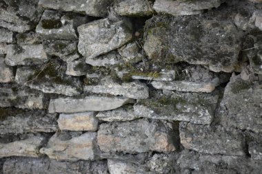 taş arka plan ve doku yakın 