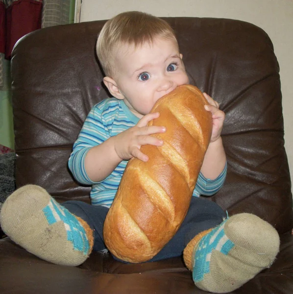 Small Toddler Boy Eating Whole Read Loaf Sitting Armchair — Stockfoto