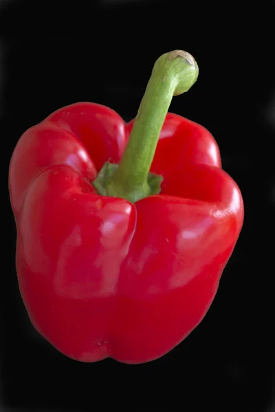 Paprika Auf Schwarzem Hintergrund — Stockfoto