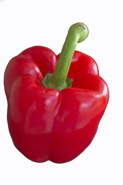 Paprika Auf Weißem Hintergrund — Stockfoto
