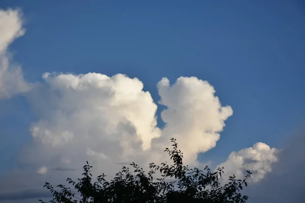 Blå Himmel Och Vita Moln — Stockfoto