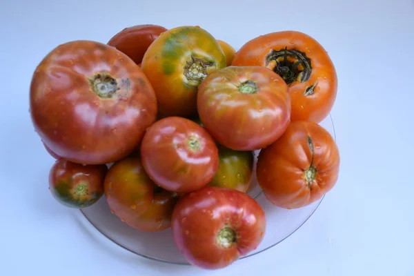 Tomates Sur Table Fermer — Photo