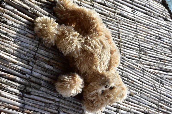Closeup Fluffy Teddy Bear Toy Laying Willow Fence — Φωτογραφία Αρχείου