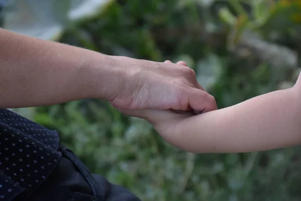 Parent Holding Child Hand Care Love Family Concept Leaves — Fotografia de Stock