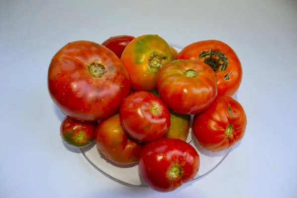 Tomates Sobre Fundo Branco — Fotografia de Stock