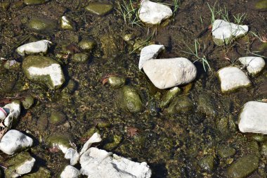 güzel arkaplan ve güzel doku