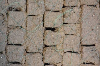 güzel ahşap arkaplan ve doku