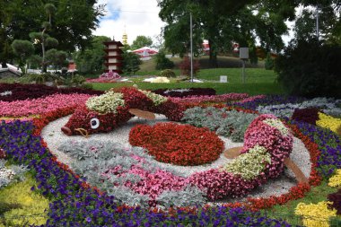 Çiçeklerin ve manzaranın güzel kompozisyonu