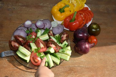 sebze karışımı taze salata 