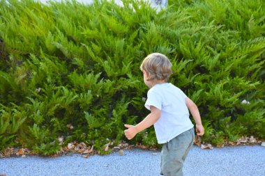 Küçük bir çocuğun güzel portresi. 