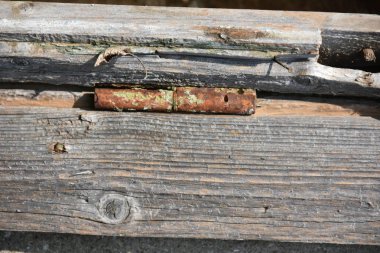 güzel ahşap arkaplan ve doku