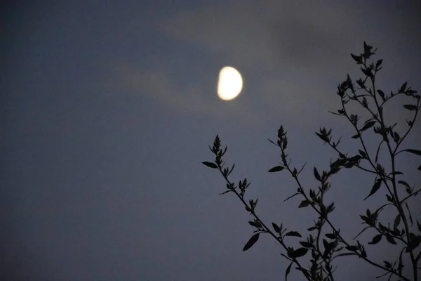 Bella Luna Nel Cielo — Foto Stock