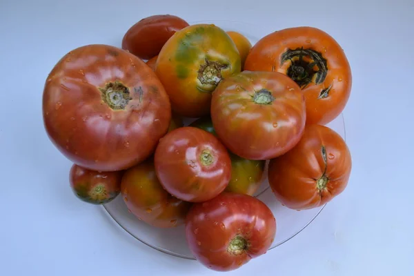 Tomates Sur Table Fermer — Photo