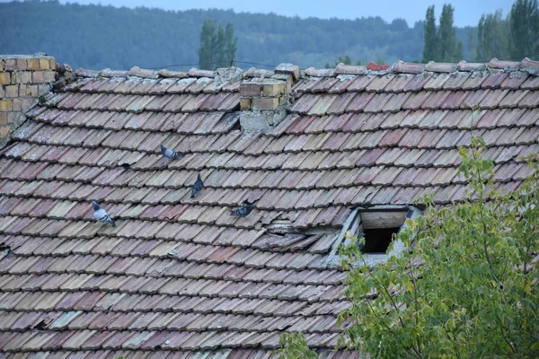 Het Oude Huis Dat Uit Elkaar Valt — Stockfoto