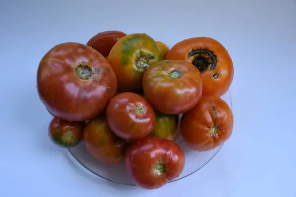 Tomates Sur Table Fermer — Photo