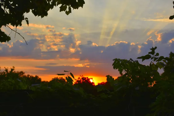 Malownicze Zachód Słońca Natura Piękny Widok — Zdjęcie stockowe