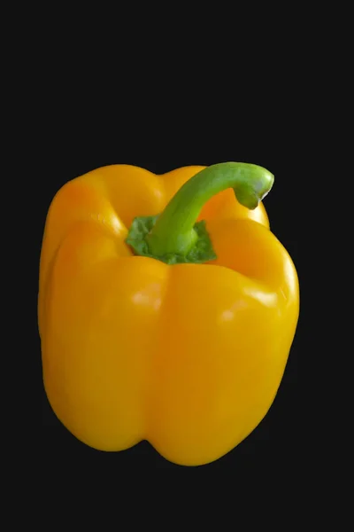 Paprika Auf Schwarzem Hintergrund — Stockfoto