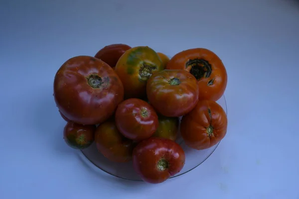 Pomodori Sul Tavolo Vicino — Foto Stock