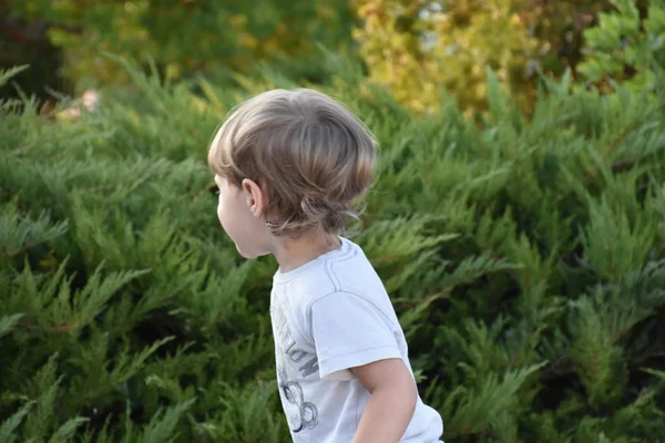 Schönes Porträt Eines Kleinen Jungen Und Lächeln — Stockfoto