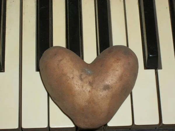 heart-shaped potato on piano keyboard