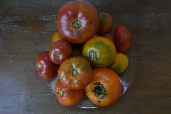 Tomaten Auf Dem Tisch Aus Nächster Nähe — Stockfoto