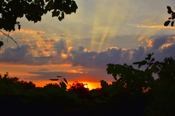 Schöner Sonnenuntergang Natur Malerische Aussicht — Stockfoto