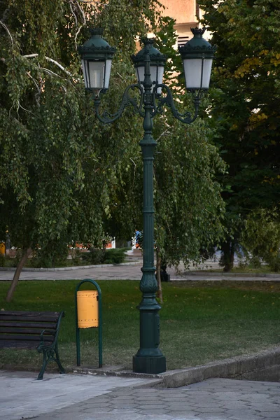 Scenic Park Lamp Trash Bin Bench Trees — Φωτογραφία Αρχείου