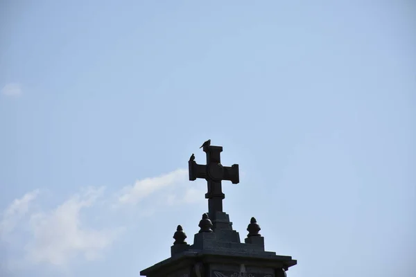 Bottom View Pigeons Sitting Cross Blue Sky Background — Stockfoto