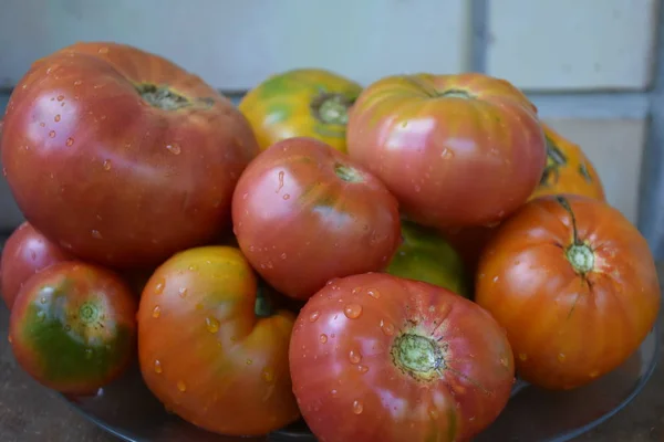 Tomates Sur Table Fermer — Photo