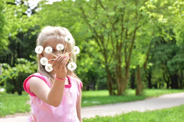 Little Girl Dandelions Her Hands — Stock Photo, Image