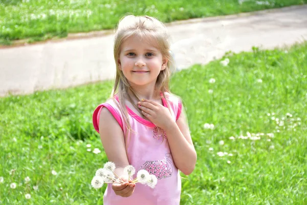 Une Petite Fille Avec Des Pissenlits Dans Ses Mains — Photo