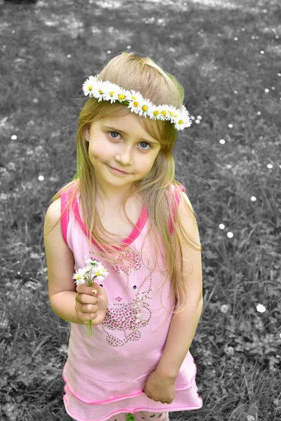 Retrato Uma Menina Com Uma Coroa Margaridas Cabeça — Fotografia de Stock