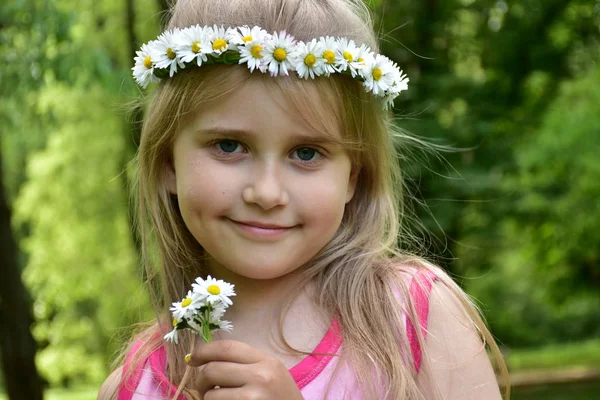 Портрет Маленької Дівчинки Вінком Ромашок Голові — стокове фото