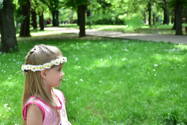肖像女孩与雏菊花圈在他们的头上 — 图库照片