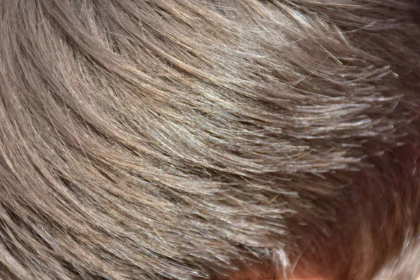 Włosy Tyłu Zewnątrz — Zdjęcie stockowe
