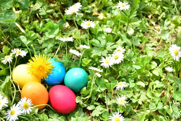 Pintar Huevos Para Semana Santa Aire Libre —  Fotos de Stock