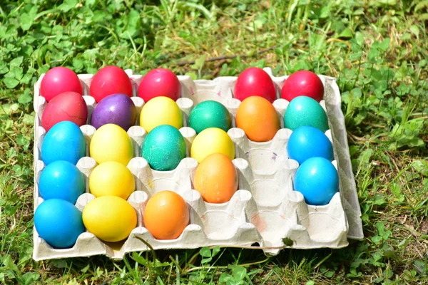 Pintar Huevos Para Semana Santa Aire Libre — Foto de Stock