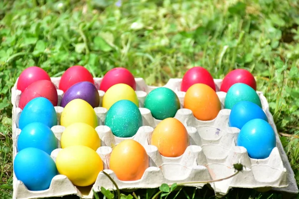 Pintar Huevos Para Semana Santa Aire Libre —  Fotos de Stock